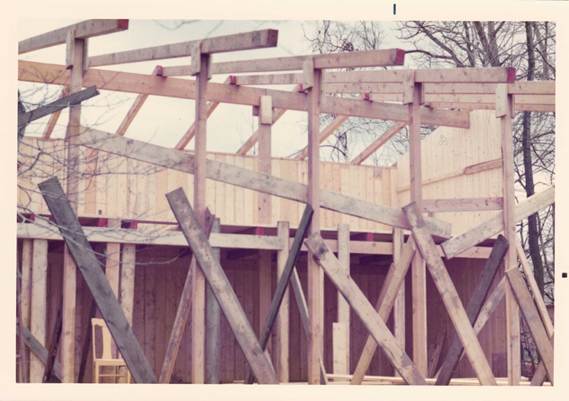 Lot 52 (3/3)